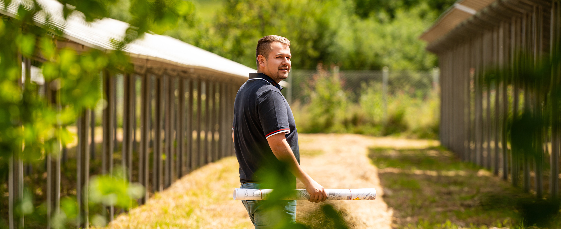 albstrom®öko online